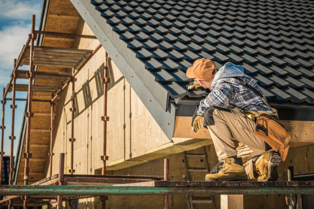 Best Roof Gutter Cleaning  in Ventress, LA